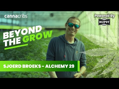 Legendary Cannabis Breeder: Sjoerd Broeks
