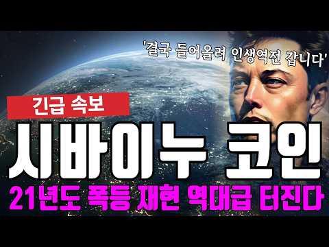 시바이누 <strong>코인</strong> 21년급 역대급 상승 터집니다