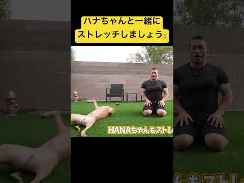 腰痛対策ストレッチ