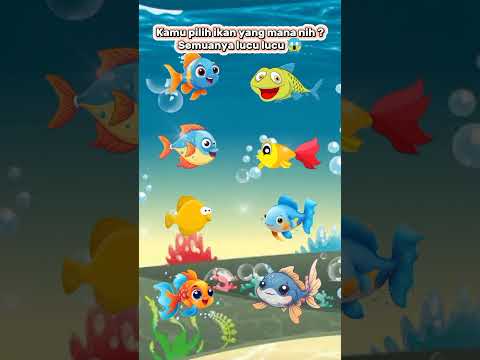 Pilih ikan yang mana nih ? semuanya lucu 😱 #ikanlucu #ikan #babyshark #dance