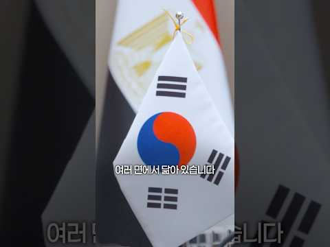 함께 그려나갈 <strong>길</strong>🇰🇷🇪🇬
