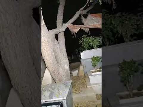 SAKHI HASSAN QABRISTAN!!!!#shorts #youtubeshorts #viralahorts