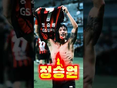 <strong>FC서울</strong> 우승 기원 선수 응원 서포터즈 화이팅