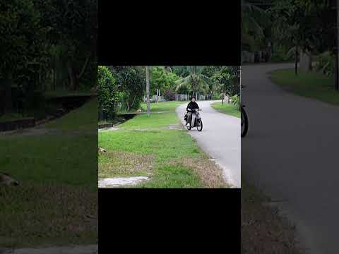 Kakak yasmin dah pandai minta moto la ek… #shopeeytdeals