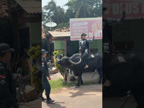 GRWM police vibe 👮🏻🚨🦬