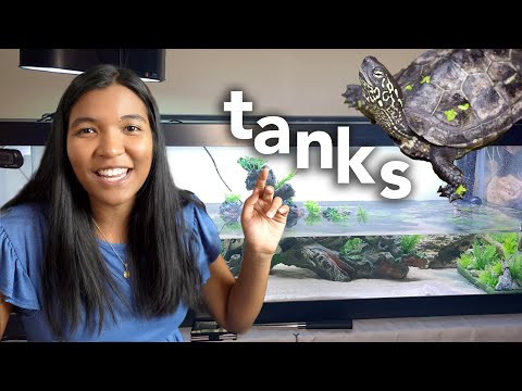 TURTLE TANK IDEAS FOR 2023! (reacting to my subscr in yet another installment of the react series, we're taking a look at some new turtle tank ideas fo