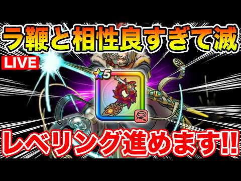 【ドラクエウォーク】ラ鞭との相性が良すぎる時渡りでガンガンレベリング進めます!!【DQW】のサムネイル