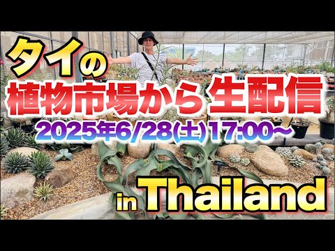 タイの植物市場からライブ配信！