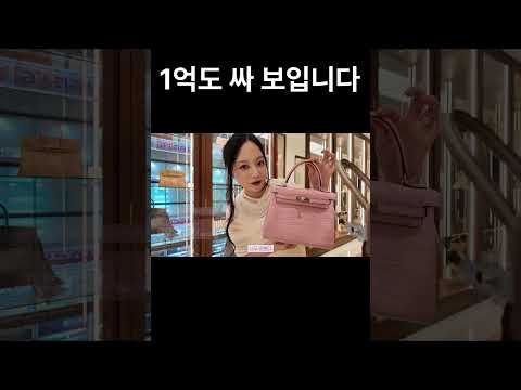 <strong>에르메스</strong> 전시에서 생긴 가격 감각의 오류 #일본여행 #오사카여행 #명품가방 #브이로그 #임산부