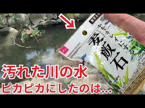 【衝撃】水槽の水を超綺麗にするのは、やっぱり 