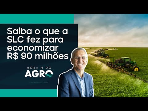 As estratégias para contornar o cenário político e econômico | HORA H DO AGRO