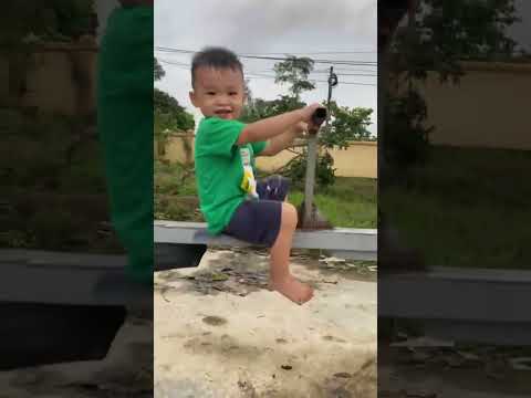 ngày 8 tháng 10, 2025