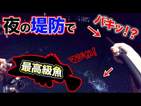 【離島生活#55】緊急事態発生？堤防からあの最高級魚が！！