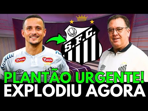 image para ilustrar o artigo