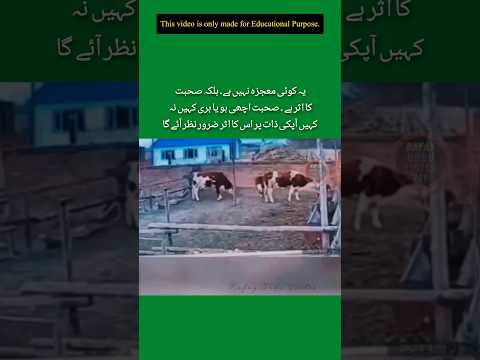 Suhbat ka Asar Insaan per Zaror hotA hy _ #urdu #viral