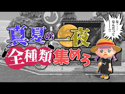 【あつ森】熱い夏がやってきた!一夜で全種類コンプリートチャレンジ!!!【ゆっくり実況】【あつまれどうぶつの森】