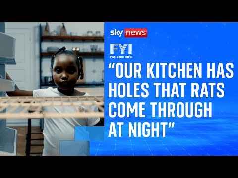 FYI: 'Our kitchen has holes that rats come through at night'