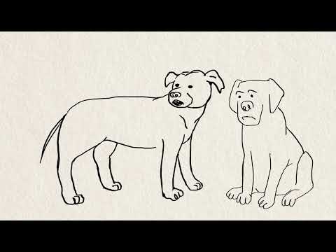 Александр Плющев: Свадьба Шамана и Мизулиной: что это было? Александр Плющев: Свадьба Шамана и Мизулиной: что это было?