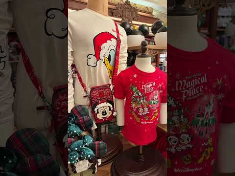 2025 Holiday Merchandise at Disney World