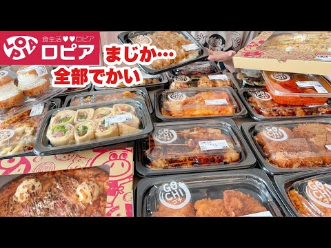【ロピアの洗礼】これが日本のコストコ！？！？【本能のままにドカ食いする主婦】