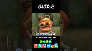 【あつ森】撮影タイミングが悪すぎる人