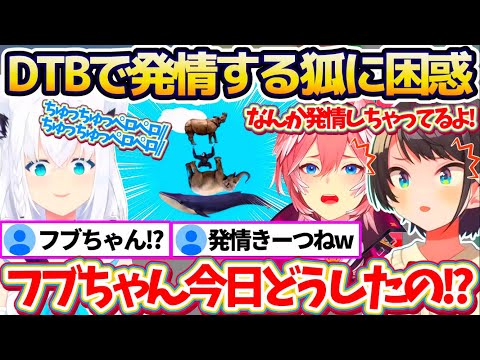 【発情狐】『DTBで発情してしまうフブちゃん』の様子があまりにもおかしすぎて、思わず困惑してしまうルイスバw【ホロライブ切り抜き/鷹嶺ルイ/大空スバル/白上フブキ】