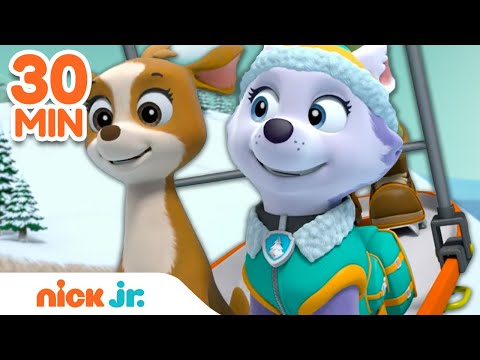 PAW Patrol BEST Winter Rescues w/ Skye, Everest & More! | 30 Minute Compilation | Nick Jr.