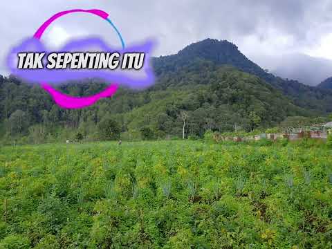 TAK SEPENTING ITU LAILA AESTHETIC