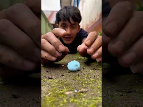 Genius or Deceptive? Watch and Judge!#shortsvideo#millipede