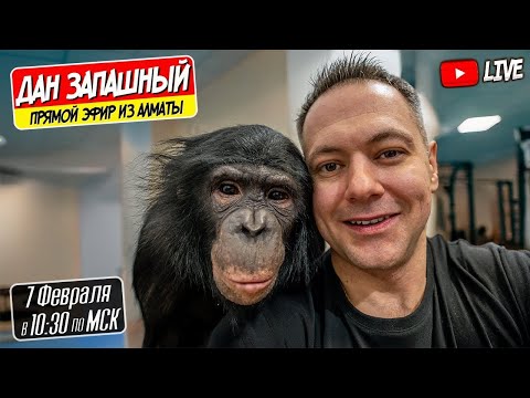 🔴 Первый Стрим Февраля с Даном Запашным и Шимпанзе Боней