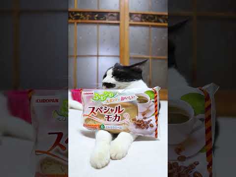 かわいさ満点！スペシャルモカの魅力と癒しのひとときを紹介 サムネイル