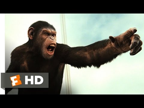 Rise of the Planet of the Apes (2011) - Battle for the Bridge Scene (4/5) | Movieclips - UC3gNmTGu-TTbFPpfSs5kNkg