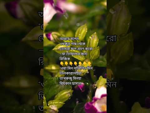 আল্লাহ বলেন,“খেজুর গাছ থেকে তোমরা ফল গ্রহণ করো—যা তোমাদের জন্য রিজিক #shortvideo #ইসলাম