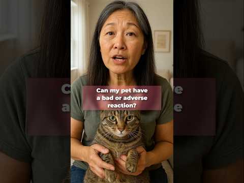 From Questions to Care — TobyDic Explains 💚 #faq #petcare #supplements #catmom #catmomlove