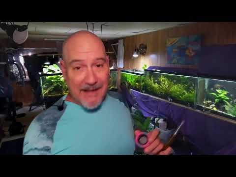 Friday Night Fish N Hits Dancast Brocast Podcast Join this channel to get access to perks_
https_//www.youtube.com/channel/UCBdxLXjOdp26Ke8NQRt7eBg/j