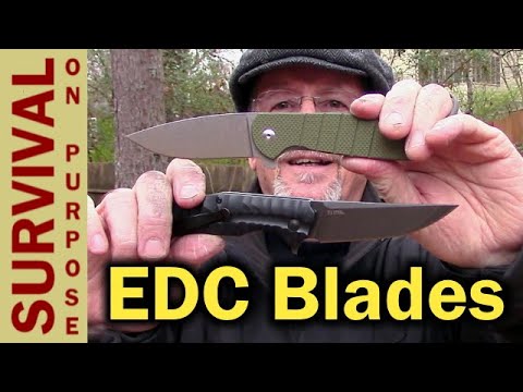 Buck n Bear and Kizer- Great EDC Knives For Under $100