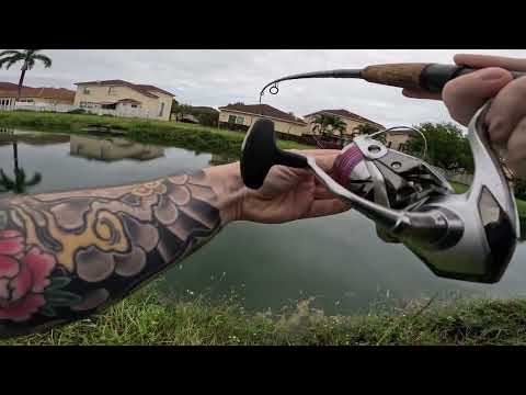 Freshwater Fishing South Florida Canals