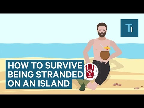 How To Survive If You Get Stranded On An Island - UCVLZmDKeT-mV4H3ToYXIFYg