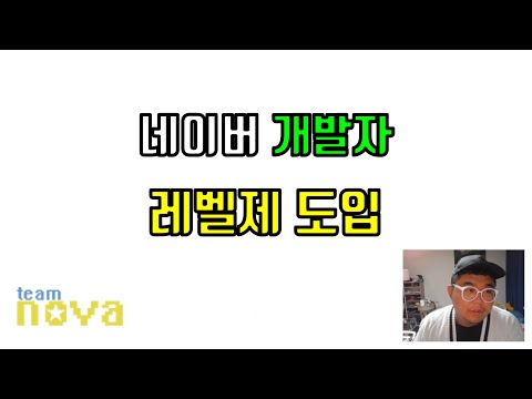 네이버 개발자 레벨제 도입
