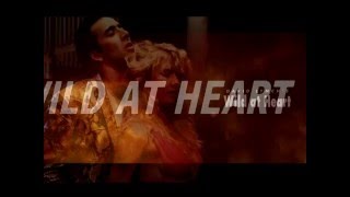 Wild At Heart - Slaughterhouse  by Powermad