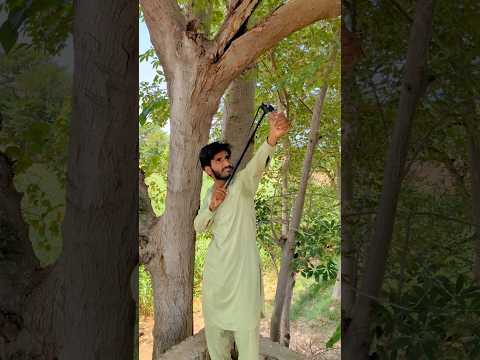 Bache NY birds ko Bacha Lia 3 #shorts #viralshorts