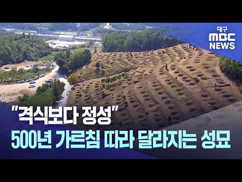 "격식보다 <strong>정성</strong>"..500년 가르침 따라 달라지는 성묘 | 대구MBC뉴스