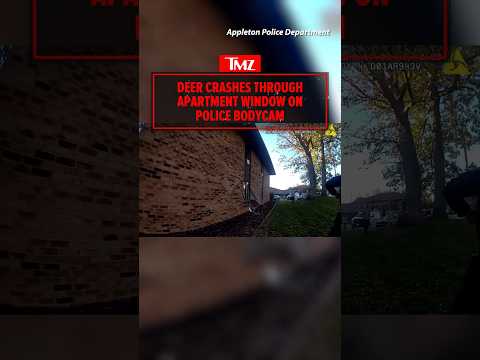 Deer Crashes Through Apartment Window On Police Bodycam