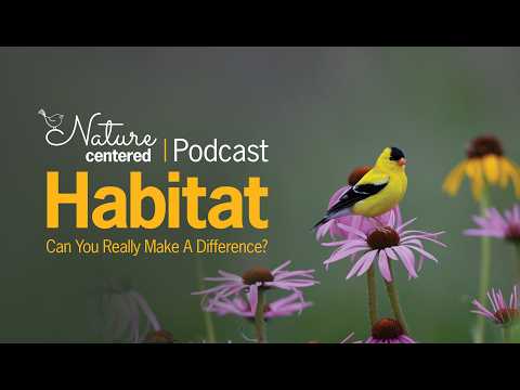 Habitat - Can You Really Make a Difference? | Nature Centered Podcast by Wild Birds Unlimited