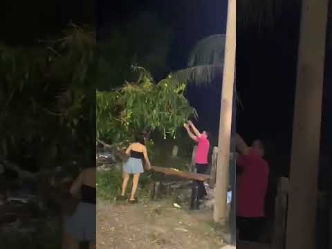 trai xinh gái đẹp đi trôm xoài #youtuber