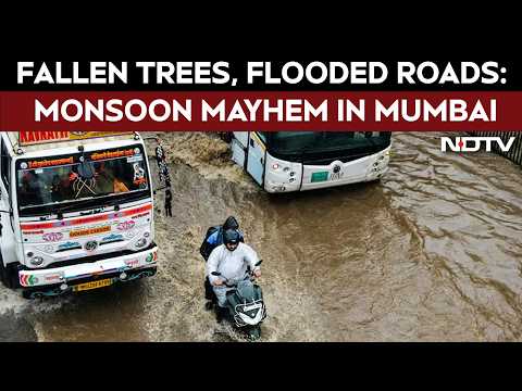 Fallen Trees, Flooded Roads, Traffic: Monsoon Mayhem In Mumbai