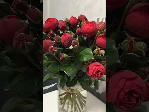 ♥️