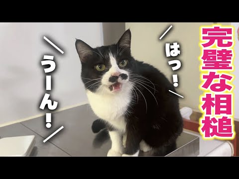 話しかけるたびに１００点満点な相槌が返ってくる