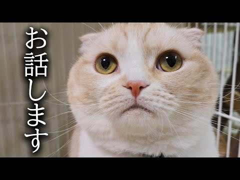 みなさまにお伝えしたいことが...