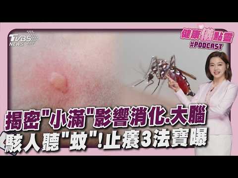 消化卡卡+疲勞感？醫:身體節奏重開機 被蚊叮別只劃十字 科學止癢法報你知！｜健康儀點靈 @tvbshealth20​